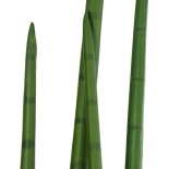 GloboStar® Artificial Garden SANSEVIERIA CYLINDRICA 20211 Τεχνητό Διακοσμητικό Φυτό Σανσεβιέρια Υ160cm