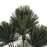 GloboStar® Artificial Garden PINUS MASSONIANA BRANCH 20219 Τεχνητό Διακοσμητικό Κλαδί Πεύκου Π50 x Υ70cm 