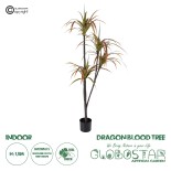 GloboStar® Artificial Garden DRAGON BLOOD TREE 20372 Τεχνητό Διακοσμητικό Φυτό Δράκαινα Υ180cm