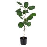 GloboStar® Artificial Garden POLYSCIAS BALFOURIANA TREE 20373 Τεχνητό Διακοσμητικό Φυτό Πολυσκιά Υ70cm 