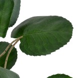 GloboStar® Artificial Garden POLYSCIAS BALFOURIANA TREE 20373 Τεχνητό Διακοσμητικό Φυτό Πολυσκιά Υ70cm 