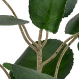 GloboStar® Artificial Garden POLYSCIAS BALFOURIANA TREE 20373 Τεχνητό Διακοσμητικό Φυτό Πολυσκιά Υ70cm 