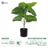 GloboStar® Artificial Garden FICUS RELIGIOSA TREE 20376 Τεχνητό Διακοσμητικό Φυτό Ιερή Συκή Υ50cm