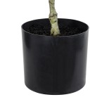 GloboStar® Artificial Garden FICUS RELIGIOSA TREE 20376 Τεχνητό Διακοσμητικό Φυτό Ιερή Συκή Υ50cm