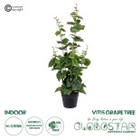 GloboStar® Artificial Garden VITIS GRAPE TREE 20379 Τεχνητό Διακοσμητικό Φυτό Άμπελος Υ90cm