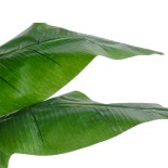 GloboStar® Artificial Garden BANANA STRELITZIA REGINAE 20381 Τεχνητό Διακοσμητικό Φυτό  Μπανανιά - Στρελίτσια - Πουλί του Παραδείσου Υ230cm