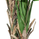 GloboStar® Artificial Garden BANANA STRELITZIA REGINAE 20381 Τεχνητό Διακοσμητικό Φυτό  Μπανανιά - Στρελίτσια - Πουλί του Παραδείσου Υ230cm