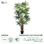 GloboStar® Artificial Garden BROADLEAF LADY PALM TREE 20385 Τεχνητό Διακοσμητικό Φυτό Πλατύφυλλος Φοίνικας Μπαμπού Υ200cm