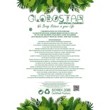 GloboStar® Artificial Garden AMALFI 20469 Πήλινο Κεραμικό Κασπώ Γλάστρα - Flower Pot Κεραμιδί Φ7.5cm x Υ20cm 