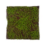 GloboStar® Artificial Garden BRYOPHYTA 20143 Τεχνητό Διακοσμητικό Πάνελ Φυλλωσιάς - Κάθετος Κήπος Βρύα Μ100 x Π100 x Υ5cm 