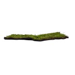 GloboStar® Artificial Garden BRYOPHYTA 20143 Τεχνητό Διακοσμητικό Πάνελ Φυλλωσιάς - Κάθετος Κήπος Βρύα Μ100 x Π100 x Υ5cm 