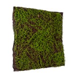 GloboStar® Artificial Garden BRYOPHYTA 20143 Τεχνητό Διακοσμητικό Πάνελ Φυλλωσιάς - Κάθετος Κήπος Βρύα Μ100 x Π100 x Υ5cm 