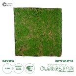 GloboStar® Artificial Garden BRYOPHYTA 20144 Τεχνητό Διακοσμητικό Πάνελ Φυλλωσιάς - Κάθετος Κήπος Βρύα Μ100 x Π100 x Υ3cm 