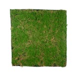 GloboStar® Artificial Garden BRYOPHYTA 20144 Τεχνητό Διακοσμητικό Πάνελ Φυλλωσιάς - Κάθετος Κήπος Βρύα Μ100 x Π100 x Υ3cm 