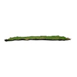GloboStar® Artificial Garden BRYOPHYTA 20144 Τεχνητό Διακοσμητικό Πάνελ Φυλλωσιάς - Κάθετος Κήπος Βρύα Μ100 x Π100 x Υ3cm 