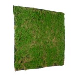 GloboStar® Artificial Garden BRYOPHYTA 20144 Τεχνητό Διακοσμητικό Πάνελ Φυλλωσιάς - Κάθετος Κήπος Βρύα Μ100 x Π100 x Υ3cm 