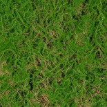 GloboStar® Artificial Garden BRYOPHYTA 20144 Τεχνητό Διακοσμητικό Πάνελ Φυλλωσιάς - Κάθετος Κήπος Βρύα Μ100 x Π100 x Υ3cm 