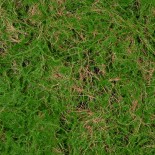 GloboStar® Artificial Garden BRYOPHYTA 20144 Τεχνητό Διακοσμητικό Πάνελ Φυλλωσιάς - Κάθετος Κήπος Βρύα Μ100 x Π100 x Υ3cm 