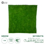 GloboStar® Artificial Garden BRYOPHYTA 20145 Τεχνητό Διακοσμητικό Πάνελ Φυλλωσιάς - Κάθετος Κήπος Βρύα Μ100 x Π100 x Υ3cm