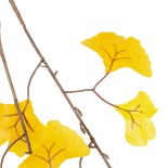 GloboStar® Artificial Garden GINKGO BRANCH 20229 Τεχνητό Διακοσμητικό Κλαδί Γκίγκο Π50 x Υ65cm