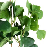 GloboStar® Artificial Garden GINKGO BRANCH 20259 Τεχνητό Διακοσμητικό Κλαδί Γκίγκο Π22 x Υ80cm 