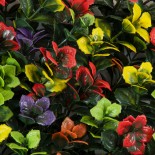 GloboStar® Artificial Garden FICUS GINSENG 20348 Τεχνητό Διακοσμητικό Πάνελ Φυλλωσιάς - Κάθετος Κήπος σύνθεση Πολύχρωμος Φίκος Τζίνσενγκ Μ50 x Π50 x Υ9cm