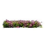GloboStar® Artificial Garden CYPHEA HYSSOPIFOLIA 20350 Τεχνητό Διακοσμητικό Πάνελ Λουλουδιών - Κάθετος Κήπος σύνθεση Άνθος Κουφέας Μ50 x Π50 x Υ11cm 
