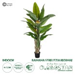 GloboStar® Artificial Garden BANANA STRELITZIA REGINAE 20381 Τεχνητό Διακοσμητικό Φυτό  Μπανανιά - Στρελίτσια - Πουλί του Παραδείσου Υ230cm