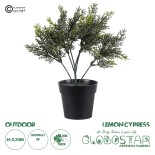 GloboStar® Artificial Garden LEMON CYPRESS 20389 Τεχνητό Διακοσμητικό Φυτό Λεμονόκυπάρισσο Υ30cm