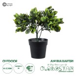 GloboStar® Artificial Garden ANUBIA BARTERI 20390 Τεχνητό Διακοσμητικό Φυτό Ανούμπια Υ30cm
