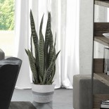 GloboStar® Artificial Garden POSITANO 20319 Διακοσμητικό Πλεκτό Καλάθι - Κασπώ Γλάστρα - Flower Pot Γκρι με Λευκό Φ25cm x Υ25cm