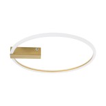 GLOBOSTAR® CINDERELLA 60982 Μοντέρνο Φωτιστικό Οροφής LED 30W 3360lm 360° AC 220-240V IP20 Ρυθμιζόμενο Λευκό CCT με Χειριστήριο από 2700K έως 6000K Dimmable - Lumileds SMD Chip - Χρυσό Βούρτσας - Μ50 x Π50 x Υ5cm - 3 Χρόνια Εγγύηση