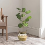 GloboStar® Artificial Garden POLYSCIAS BALFOURIANA TREE 20373 Τεχνητό Διακοσμητικό Φυτό Πολυσκιά Υ70cm 