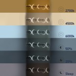 GLOBOSTAR® CIRCOLARE 61319 Μοντέρνο Κρεμαστό Φωτιστικό Οροφής LED 75W 7500lm 360° AC 220-240V IP20 Ρυθμιζόμενο Λευκό CCT με Χειριστήριο από 2700K έως 6000K Dimmable - Lumileds SMD Chip - Μαύρο Ματ - Μ120 x Π25 x Υ25cm - 3 Χρόνια Εγγύηση