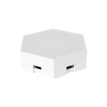 GloboStar® DIGIOCTA 90448 Σετ 6 Ψηφιακων LED RGB Φωτιστικών Κυψελών με Ψηφιακό Controller με WiFi Smart APP & Ασύρματο Χειριστήριο RF 2.4Ghz - LED SMD 5050 9W/Σετ 84PIXEL/Σετ 720lm/Σετ 120° DC 5V με USB 2.0 IP20 Πολύχρωμο RGB - Dimmable - Μ10.5 x Π10.5 x 