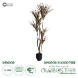 GloboStar® Artificial Garden DRAGON BLOOD TREE 20970 Τεχνητό Διακοσμητικό Φυτό Δράκαινα Φ60 x Υ140cm