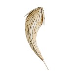 GloboStar® GOURAMI 02359 Boho Φωτιστικό Τοίχου - Απλίκα Μονόφωτο 1 x E27 AC220-240V IP20 - Μ98 x Π33 x Υ22.5cm - Μπεζ Λεπτό Φύλλο Ξύλου Πλέγμα - 5 Χρόνια Εγγύηση