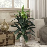 GloboStar® Artificial Garden DRACAENA SILK 20042 - Τεχνητό Διακοσμητικό Φυτό Δράκαινα Υ90cm