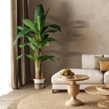 GloboStar® Artificial Garden BANANA TREE 20017 - Tεχνητό Διακοσμητικό Φυτό Μπανανιά - Μπανανόδεντρο Υ180cm