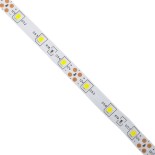 GloboStar® AVILA 90590 Ταινία LED 4.8W/m 300lm/m 120° DC 12V IP20 - 60 x SMD 3528 LED Chip/Μέτρο - Μ5000 x Π8 x Υ2mm - Ρολό 5 Μέτρων - Ψυχρό Λευκό 6000K - 2 Χρόνια Εγγύηση