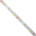 GloboStar® AVILA 90591 Ταινία LED 4.8W/m 280lm/m 120° DC 12V IP20 - 60 x SMD 3528 LED Chip/Μέτρο - Μ5000 x Π8 x Υ2mm - Ρολό 5 Μέτρων - Φυσικό Λευκό 4500K - 2 Χρόνια Εγγύηση