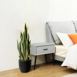 GloboStar® Artificial Garden BLOODLEAF DRACAENA TRIFASCIATA 20060 Τεχνητό Διακοσμητικό Φυτό Αιματόφυλλη Σανσεβιέρια Υ70cm