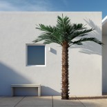 GloboStar® Artificial Garden COCONUT PALM TREE 20436 Τεχνητό Διακοσμητικό Φοινικόδεντρο Κοκοφοίνικας Υ600cm