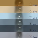 GLOBOSTAR® ZANE 60934 Μοντέρνο Κρεμαστό Φωτιστικό Οροφής LED 54W 6048lm 120° AC 220-240V IP20 Ρυθμιζόμενο Λευκό CCT με Χειριστήριο από 2700K έως 6000K Dimmable - Lumileds SMD Chip - Μαύρο Ματ & Χρυσό - Μ40 x Π40 x Υ20cm - 3 Χρόνια Εγγύηση