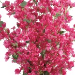 GloboStar® Artificial Garden BOUGANVILLEA 20664 Τεχνητό Διακοσμητικό Φυτό με Ανθη Μπουκανβίλιας Φουξ Υ150cm