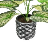 GloboStar® Artificial Garden CALADIUM 20889 Τεχνητό Διακοσμητικό Φυτό Τροπικό Καλάδιο Φ40 x Υ33cm