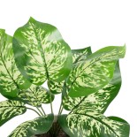 GloboStar® Artificial Garden DIEFFENBACHIA POTTED PLANT 20897 Διακοσμητικό Φυτό Διφενμπάχια Φ40 x Υ33cm
