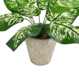GloboStar® Artificial Garden DIEFFENBACHIA POTTED PLANT 20897 Διακοσμητικό Φυτό Διφενμπάχια Φ40 x Υ33cm