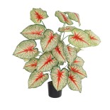 20921