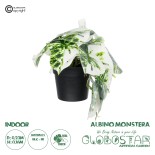 GloboStar® Artificial Garden ALBINO MONSTERA PLANT 20946 Διακοσμητικό Φυτό Μονστέρα Φ23 x Υ16cm